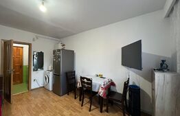 Garsoniera in Vasile Aaron, etajul 1