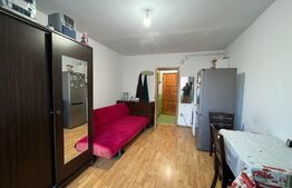 Garsoniera in Vasile Aaron, etajul 1