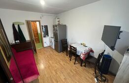 Garsoniera in Vasile Aaron, etajul 1