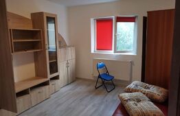 Garsoniera 30mp, etaj intermediar, de vanzare, zona Calea Dumbravii