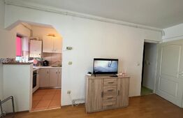 Garsoniera, 22mp, zona Siretului