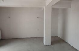 Duplex, 120mp, zona Calea Cisnadiei