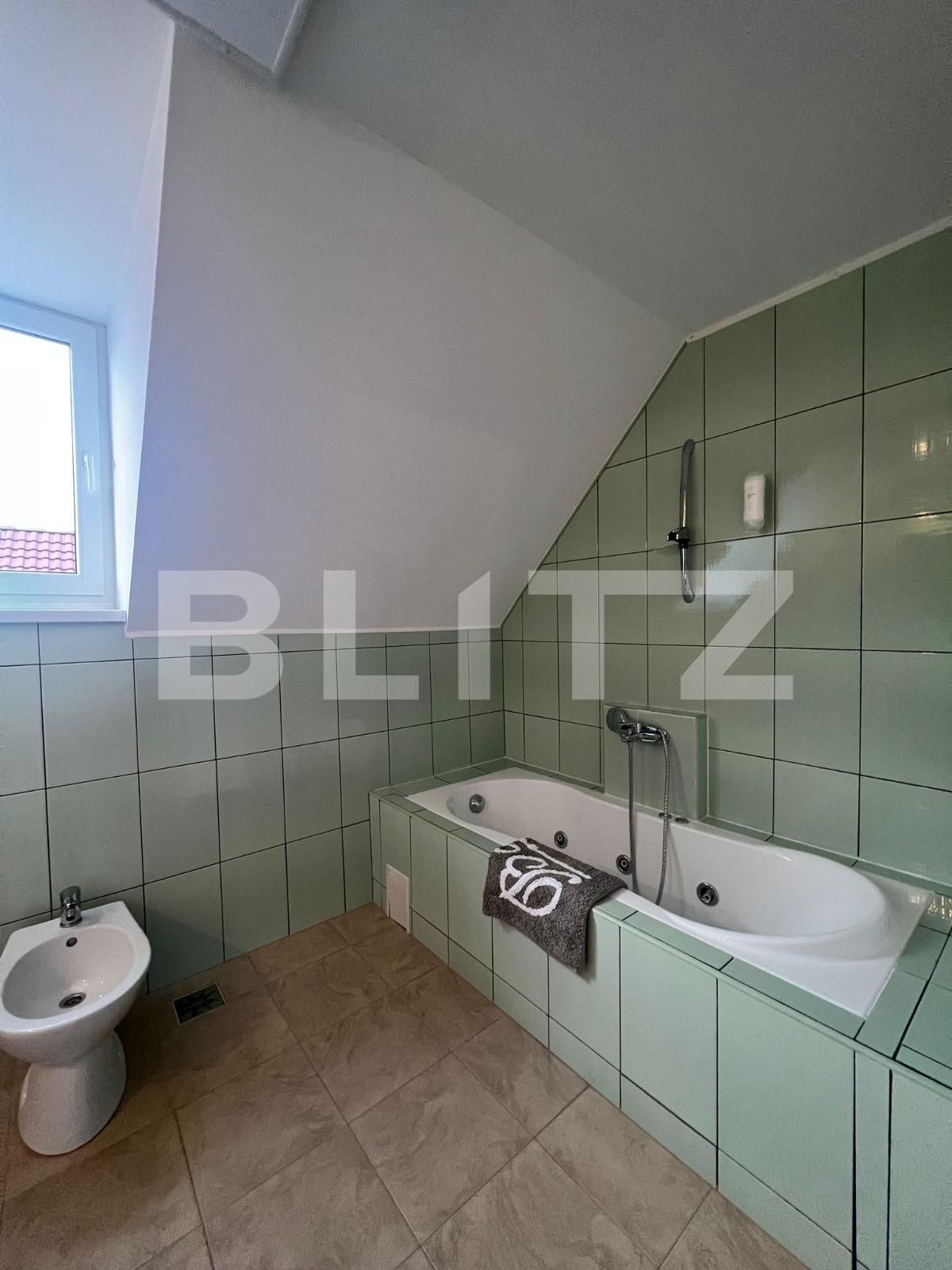 Apartament de vânzare 4+ camere Tilisca - 110273AV | BLITZ Sibiu | Poza9