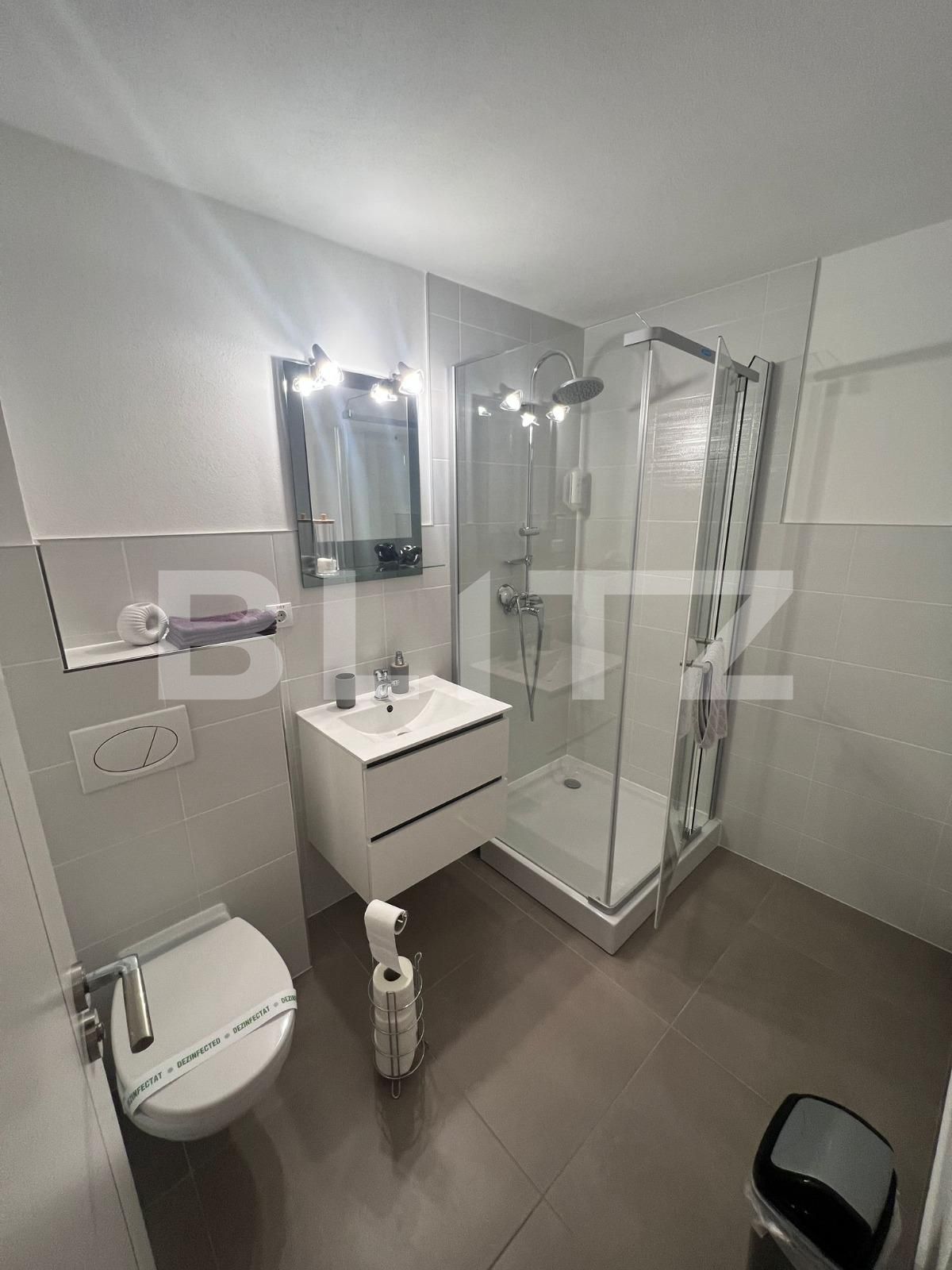 Apartament de vânzare 4+ camere Tilisca - 110273AV | BLITZ Sibiu | Poza4