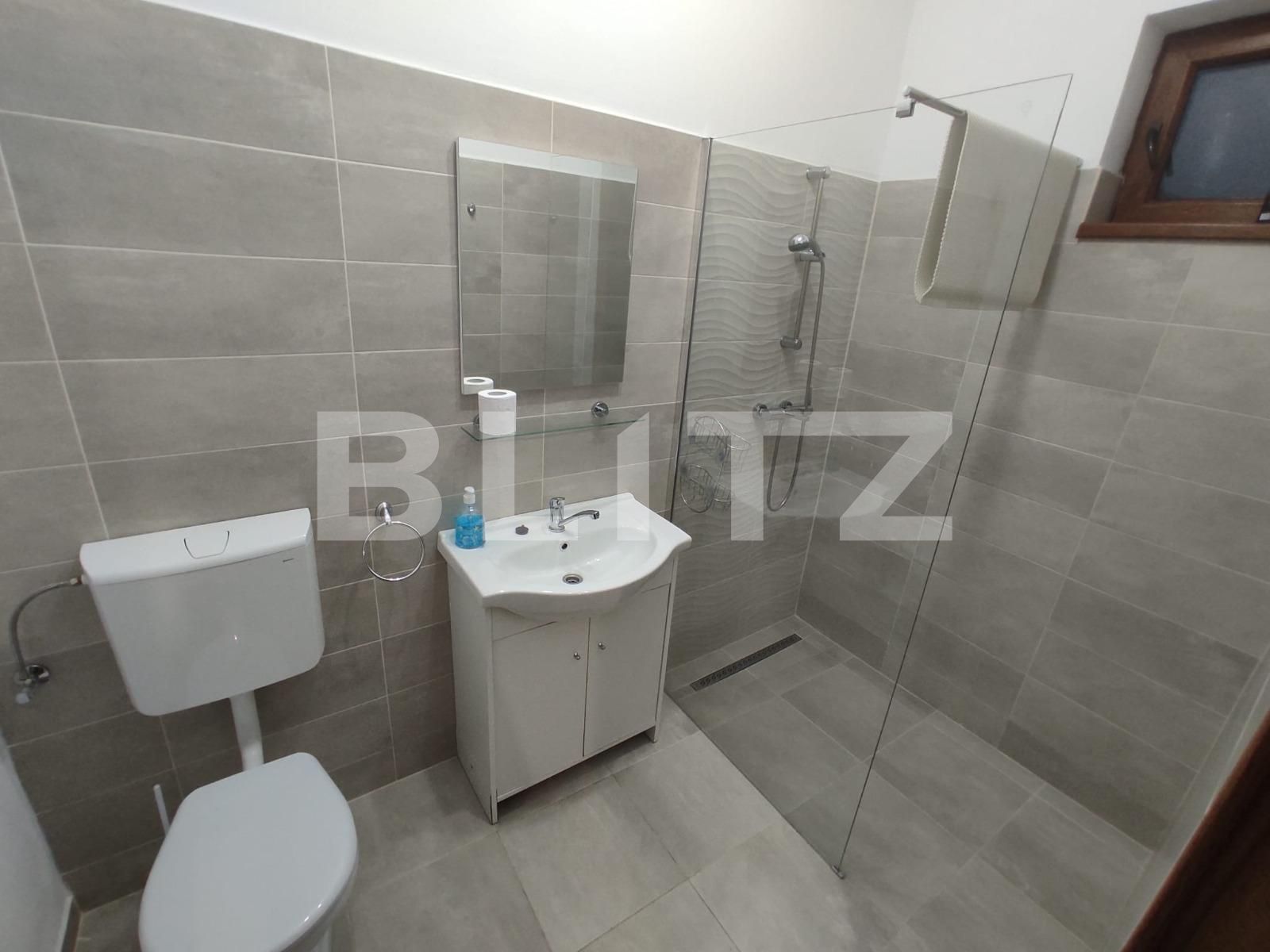 Casa de închiriat 4 camere Vasile Aaron - 110286CI | BLITZ Sibiu | Poza10