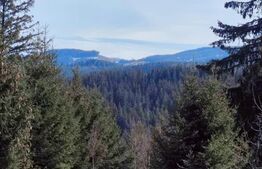 Penisiune independenta energetic, 9 camere, 350mp, zona Paltinis