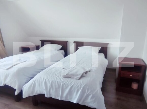 Casa de vânzare 9 camere Exterior Sud - 111314CV | BLITZ Sibiu | Poza10