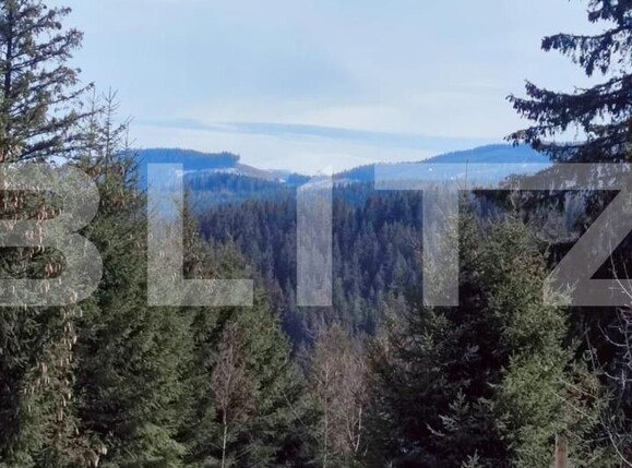 Casa de vânzare 9 camere Exterior Sud - 111314CV | BLITZ Sibiu | Poza9