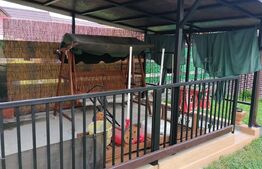 Casa de vacanta, 90mp,  Marginimea Sibiului