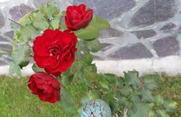 Casa de vacanta, 90mp,  Marginimea Sibiului