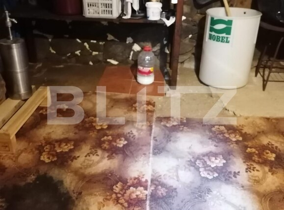 Casa de vânzare 2 camere Exterior Vest - 111751CV | BLITZ Sibiu | Poza15