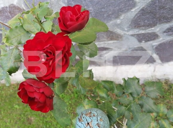 Casa de vânzare 2 camere Exterior Vest - 111751CV | BLITZ Sibiu | Poza9