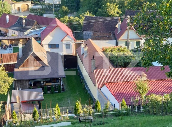 Casa de vânzare 2 camere Exterior Vest - 111751CV | BLITZ Sibiu | Poza10