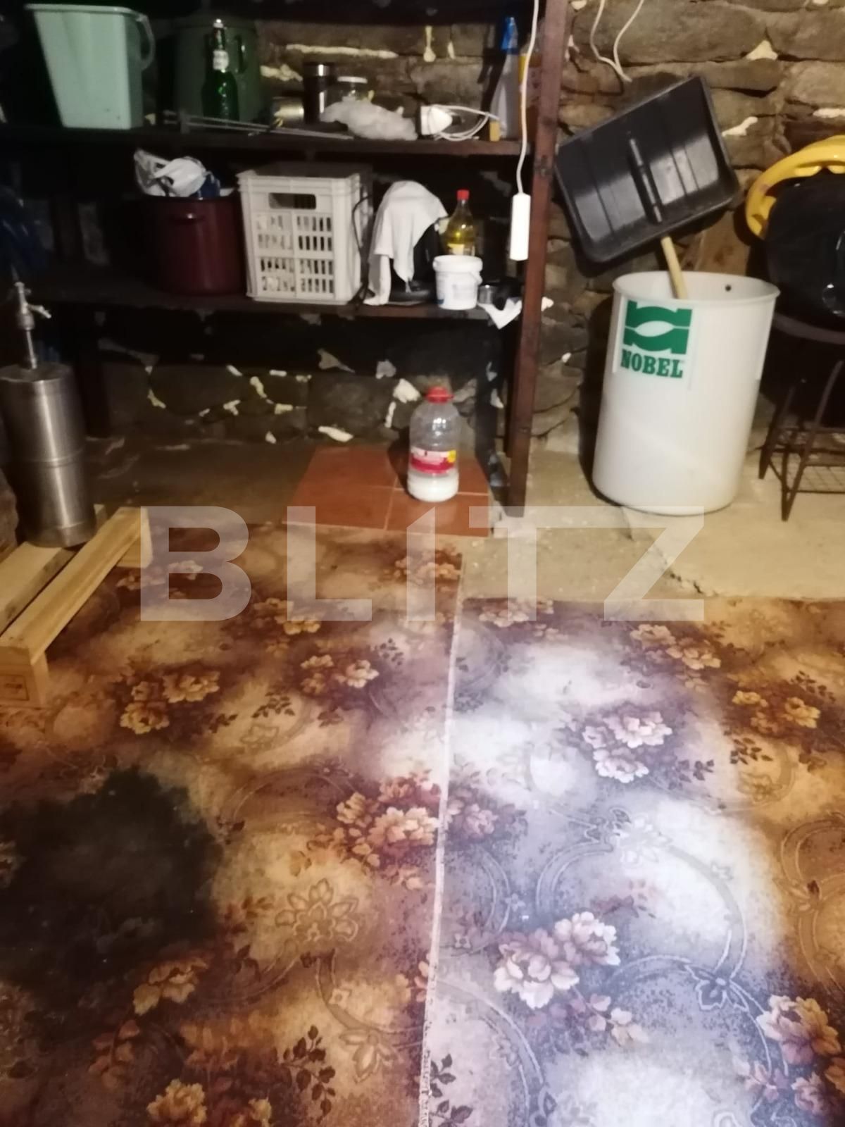 Casa de vânzare 2 camere Exterior Vest - 111751CV | BLITZ Sibiu | Poza15