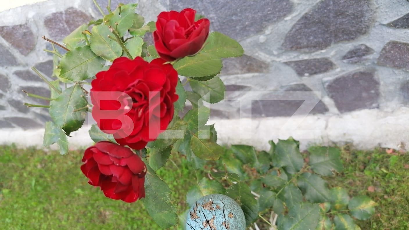 Casa de vânzare 2 camere Exterior Vest - 111751CV | BLITZ Sibiu | Poza9