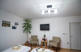 Garsoniere la PACHET, la casa, 55mp, zona Centrala