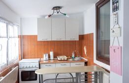 Garsoniere la PACHET, la casa, 55mp, zona Centrala