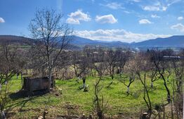 Casa individuala 8 camere, 500mp, Rasinari