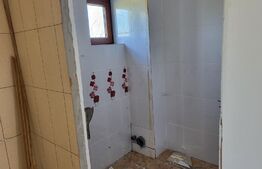 Casa individuala 8 camere, 500mp, Rasinari