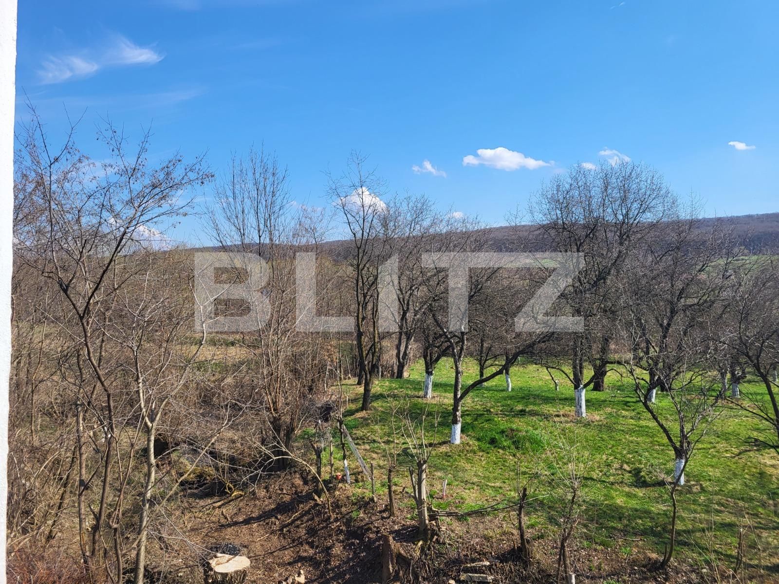 Casa de vânzare 9 camere Exterior Sud - 112158CV | BLITZ Sibiu | Poza17