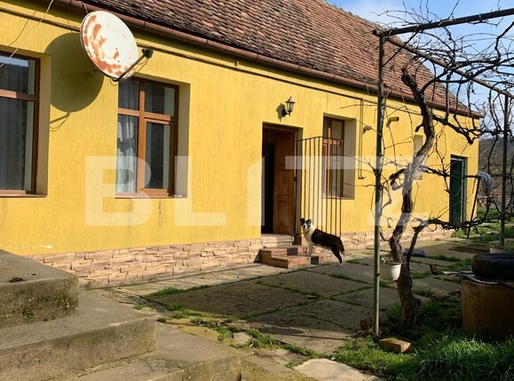 Casa de vânzare 3 camere Exterior Nord - 112337CV | BLITZ Sibiu | Poza6