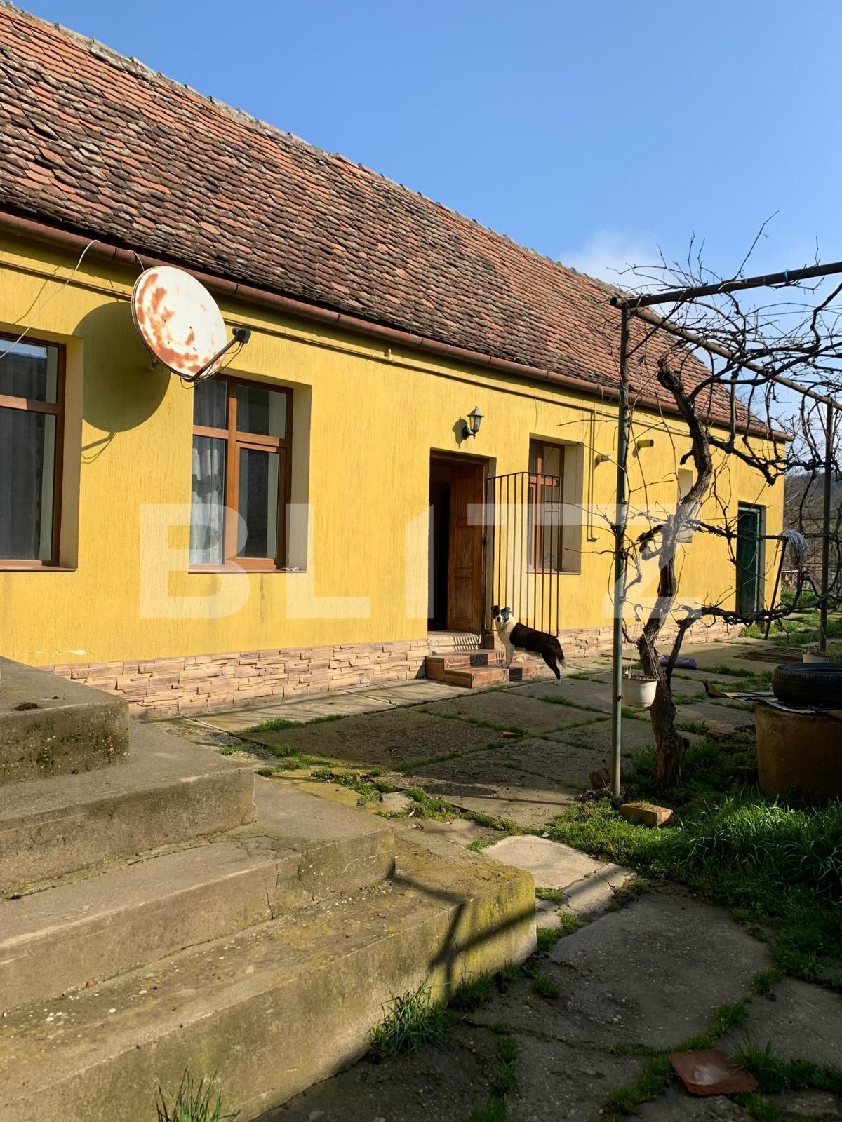 Casa de vânzare 3 camere Exterior Nord - 112337CV | BLITZ Sibiu | Poza6