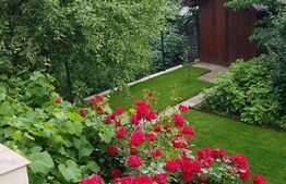 Casa individuala 4 camere, 165mp,  zona Terezian