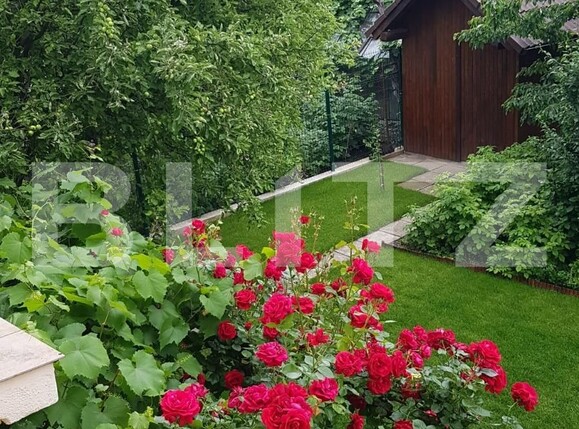 Casa de vânzare 4 camere Terezian - 113339CV | BLITZ Sibiu | Poza3