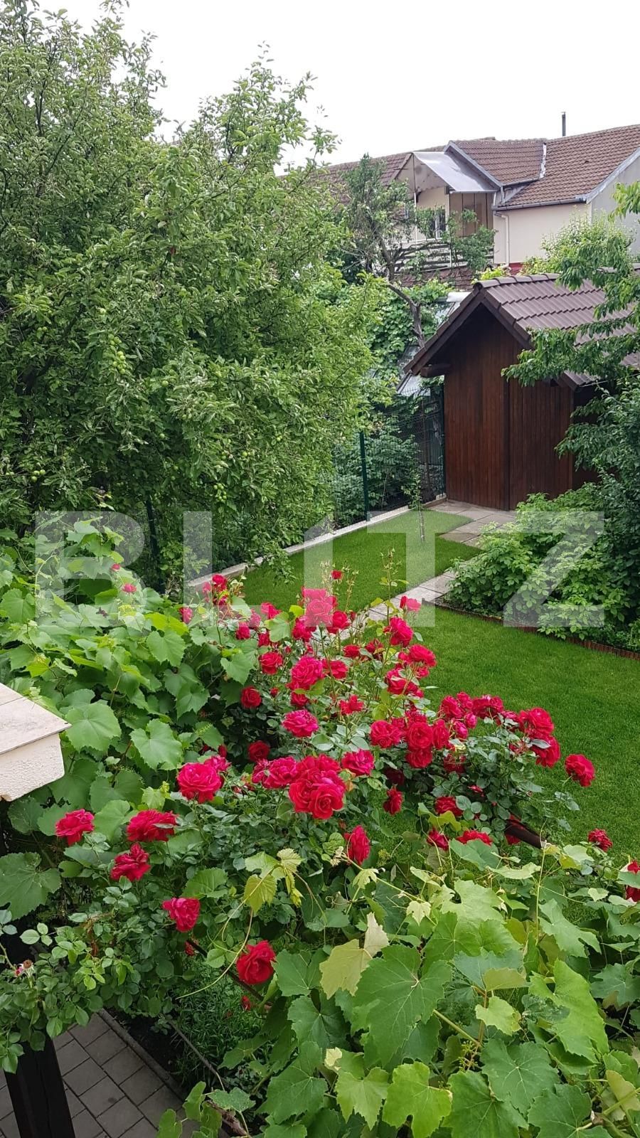 Casa de vânzare 4 camere Terezian - 113339CV | BLITZ Sibiu | Poza3