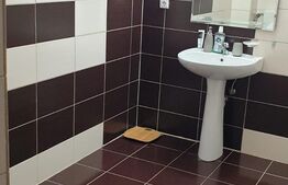 Casa individuala 9 camere, 300 mp suprafata utila, Ultracentral