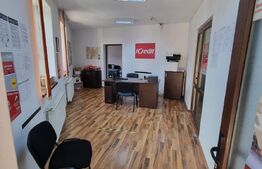 Casa individuala 9 camere, 300 mp suprafata utila, Ultracentral