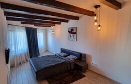 Casa individuala 9 camere, 300 mp suprafata utila, Ultracentral