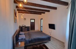 Casa individuala 9 camere, 300 mp suprafata utila, Ultracentral