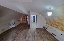 Casa individuala 9 camere, 300 mp suprafata utila, Ultracentral