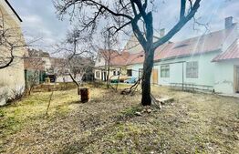 Casa alipita 3 camere, 70 mp suprafata utila si 288 mp teren, zona Ultracentrala 