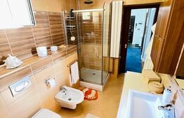 Apartament 3 camere decomandat, 2 bai cu geam, pivnita, zona Tilisca