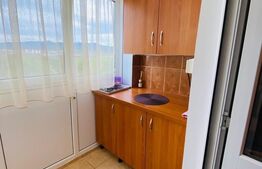 Apartament 2 camere, 50mp, zona Siretului