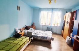 Apartament 2 camere, semidecomandat, 45 mp, cartier Terezian