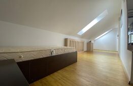 Apartament 2 camere, 100 mp, decomandat, Zona Centrala