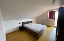 Apartament 2 camere, 100 mp, decomandat, Zona Centrala