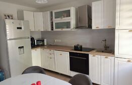  Casa este insiruita 4 camere, 120mp, Sura Mare 