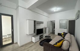 Apartament 2 camere, 40mp, Domna Stanca