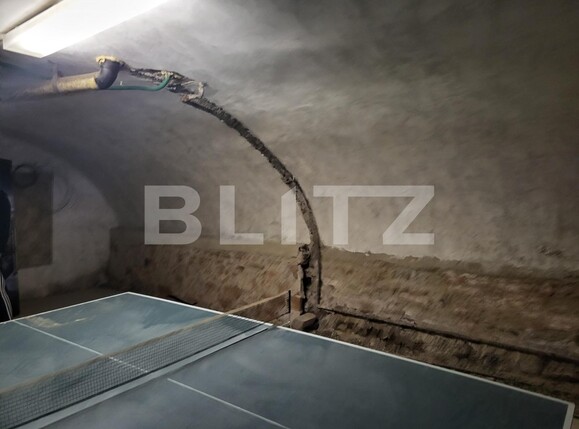 Casa de vânzare 3 camere Cisnadie - 115780CV | BLITZ Sibiu | Poza16