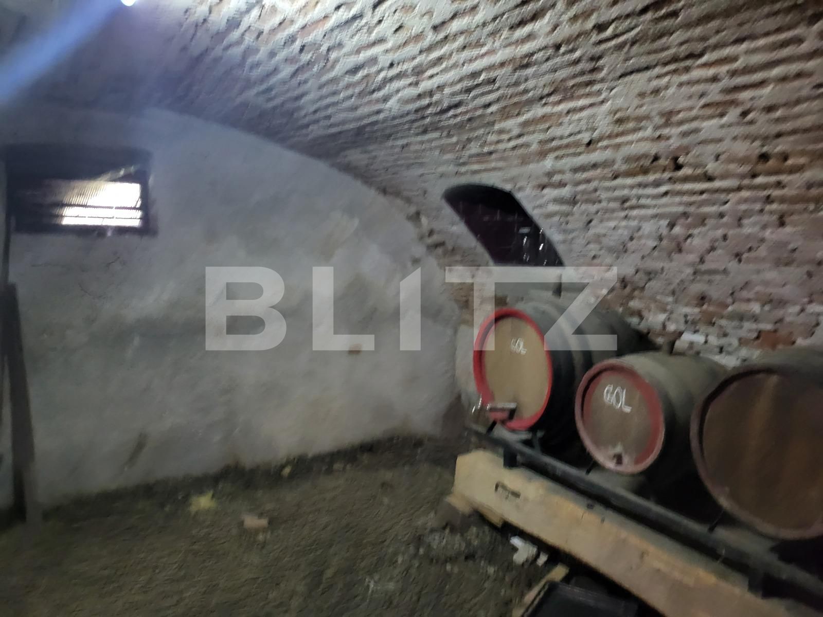 Casa de vânzare 3 camere Cisnadie - 115780CV | BLITZ Sibiu | Poza4