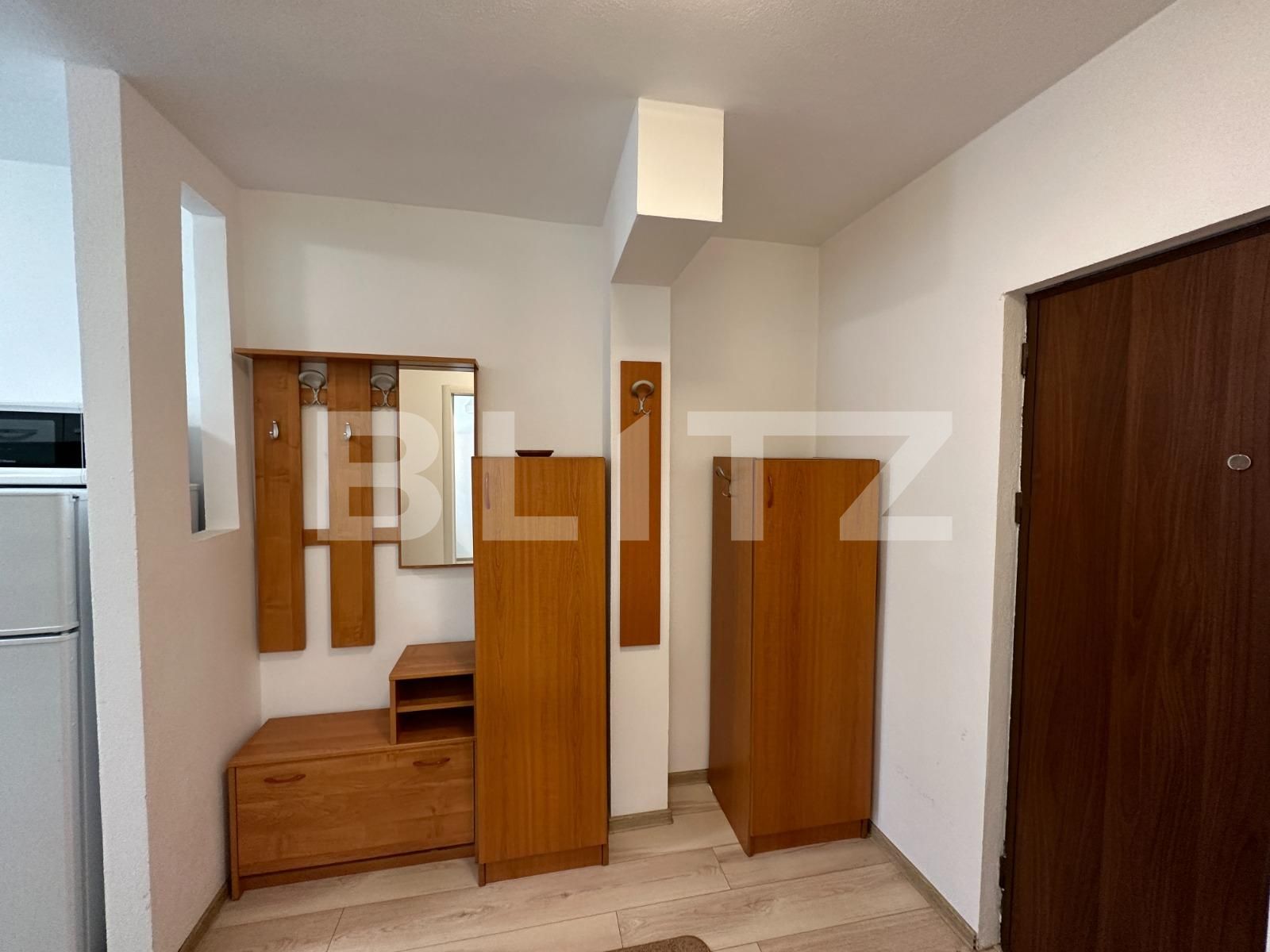 Apartament de închiriat 2 camere Mihai Viteazul - 115903AI | BLITZ Sibiu | Poza12