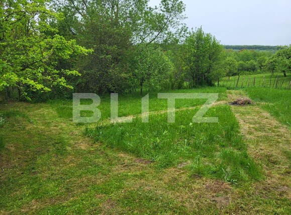 Teren de vânzare Exterior Vest - 115932TV | BLITZ Sibiu | Poza16