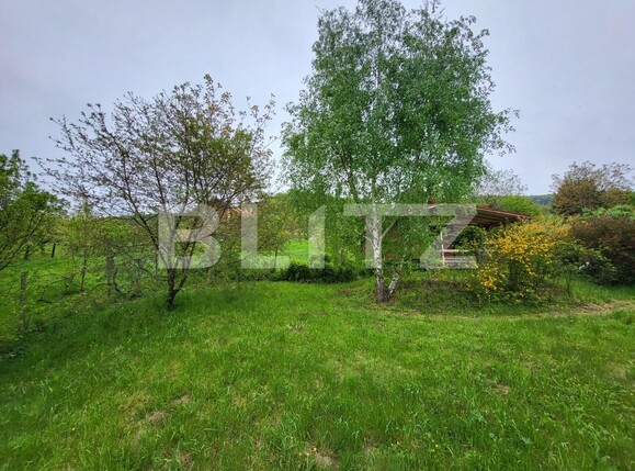 Teren de vânzare Exterior Vest - 115932TV | BLITZ Sibiu | Poza13