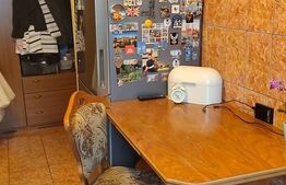 Apartament 2 camere, 50mp, Turnisor