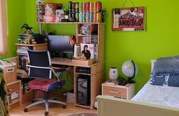 Apartament 2 camere, 50mp, Turnisor