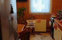 Apartament 2 camere, 50mp, Turnisor